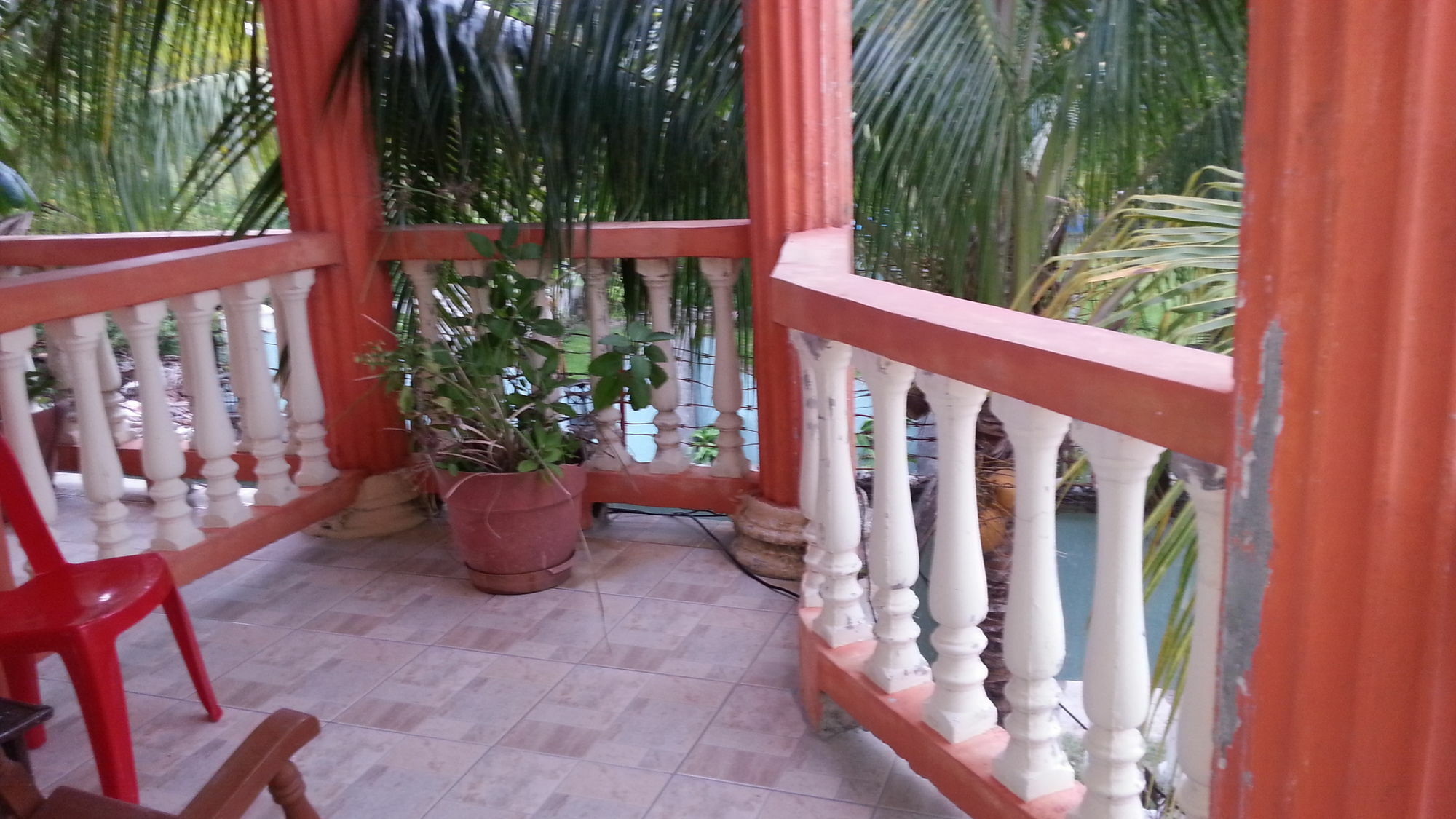 La Delphina Bed And Breakfast Bar And Grill La Ceiba Exterior photo